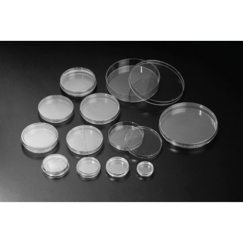 10090 Petri Dish