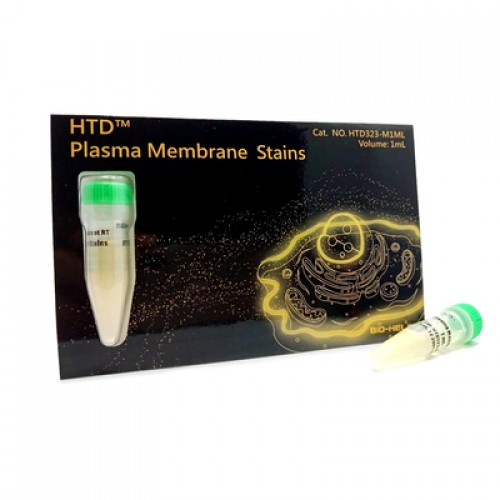 LifeDireX HTD™ Plasma Membrane Stains (1 mL)