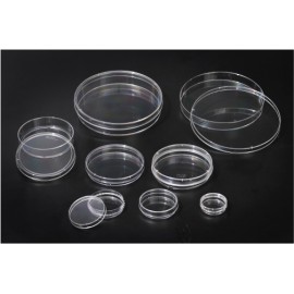 20035 Cell Culture Dish