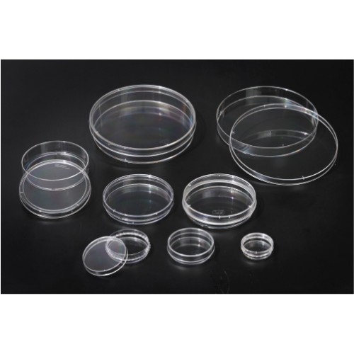 20060 Cell Culture Dish