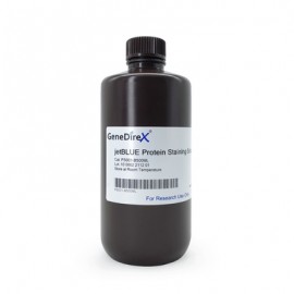 GeneDireX jetBLUE Protein Staining Solution (500ML)