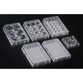 30006 Cell Culture Plate