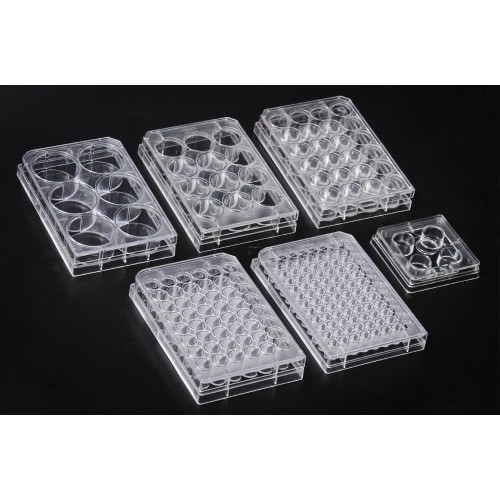 30012 Cell Culture Plate